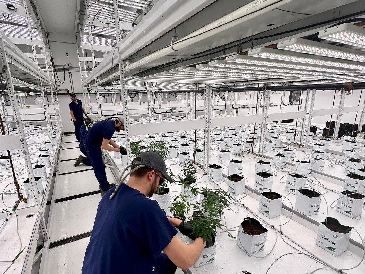 Highlands Grow  betreibt in Lapeer (Michigan) eine Cannabisplantage. Paxton hat die Anlage abgesichert.